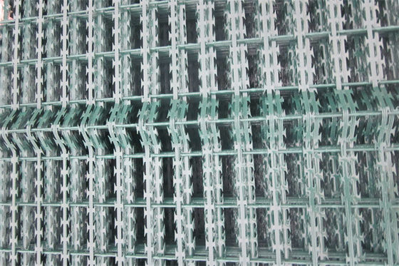 1600mm Galvanized Razor Barbed Wire Mesh Fence Welded Razor Wire Mesh